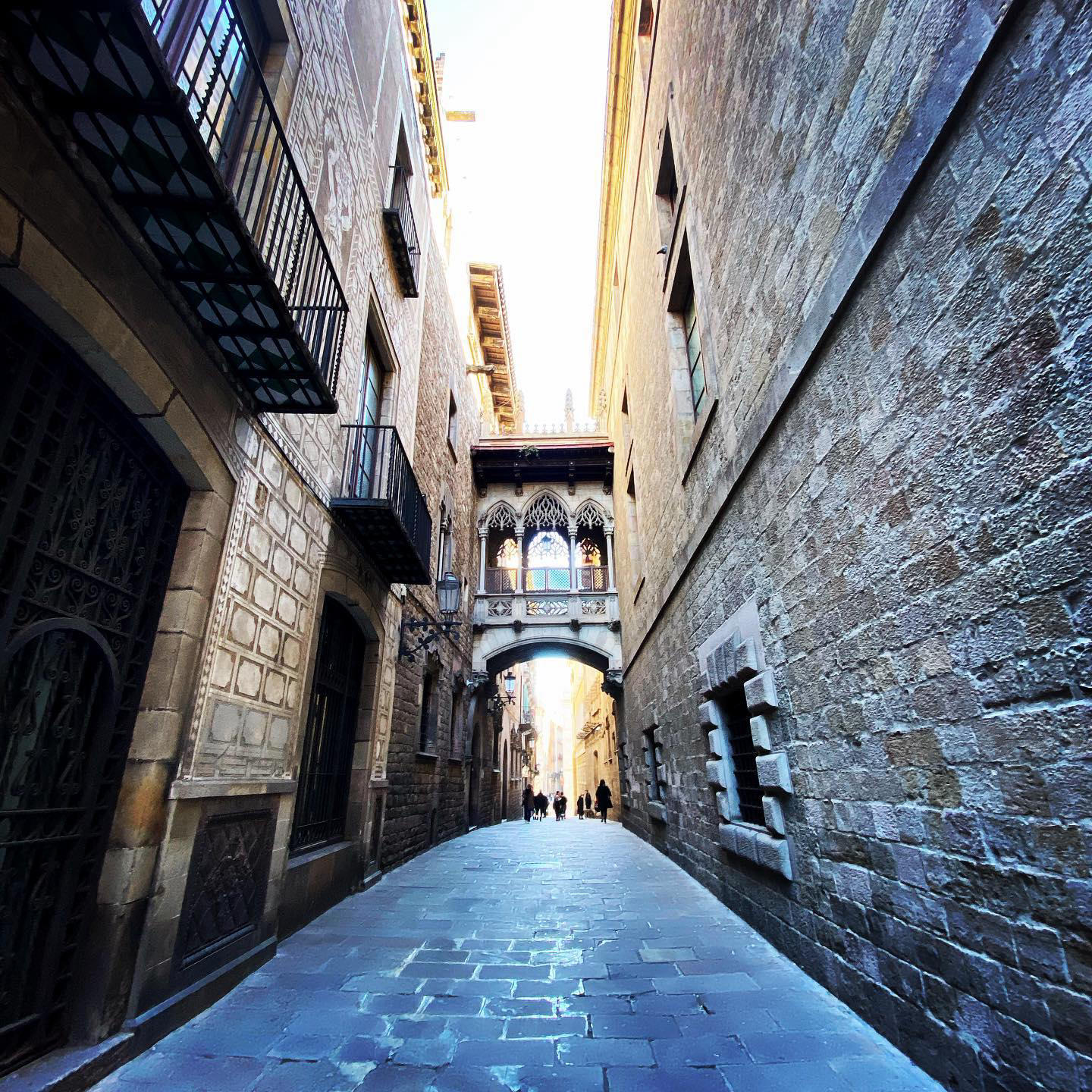 image  1 Barcelona Top Travel Tips - #gotico