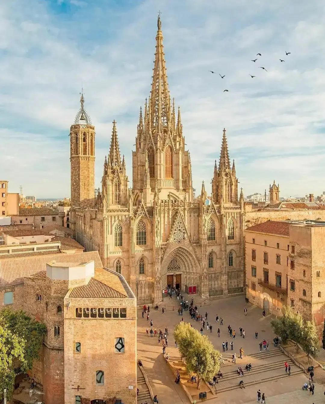 image  1 Barcelona Up Close - Have you ever visited Barcelona Cathedral