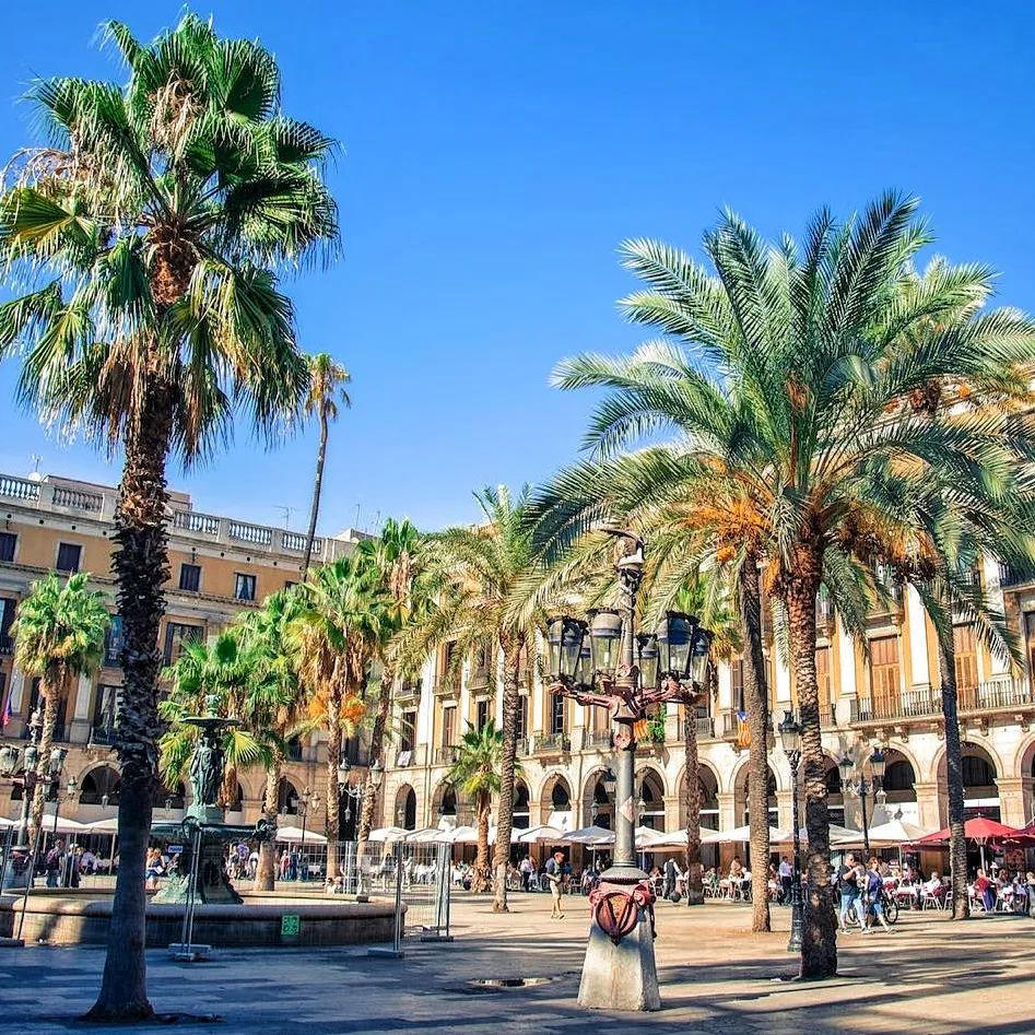 image  1 Don't miss out on the Plaça Reial