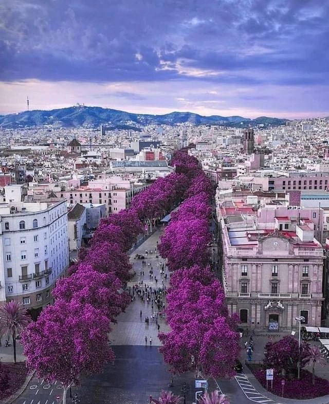 The beauty of Barcelona in spring is undeniable